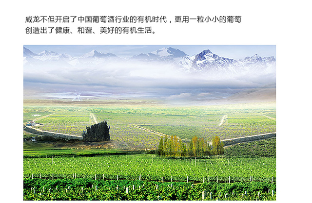  社會(huì)公益