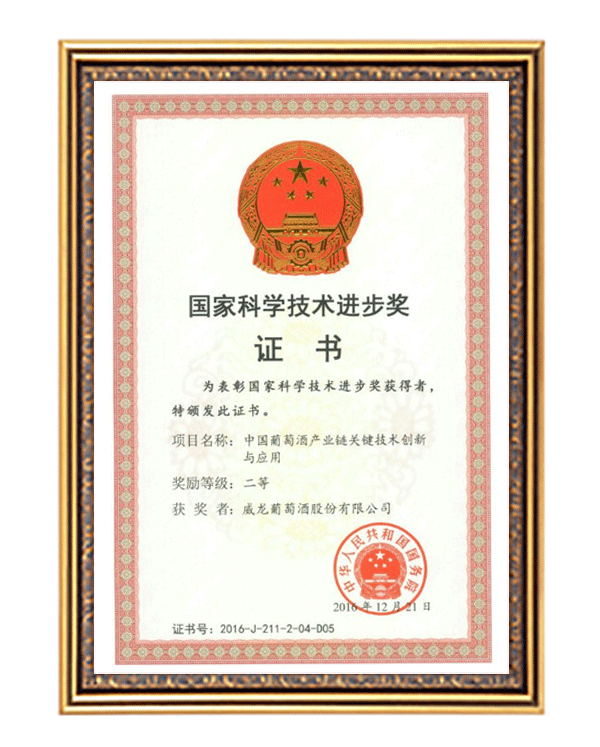 國(guó)家科技進(jìn)步獎(jiǎng)二等獎(jiǎng)